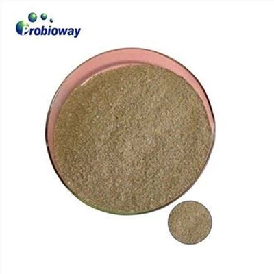 Bacillus Pumilus Aliments pour animaux