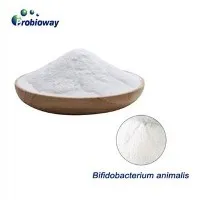 Bifidobacterium animalis naturel