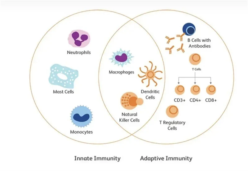 immunity immunity